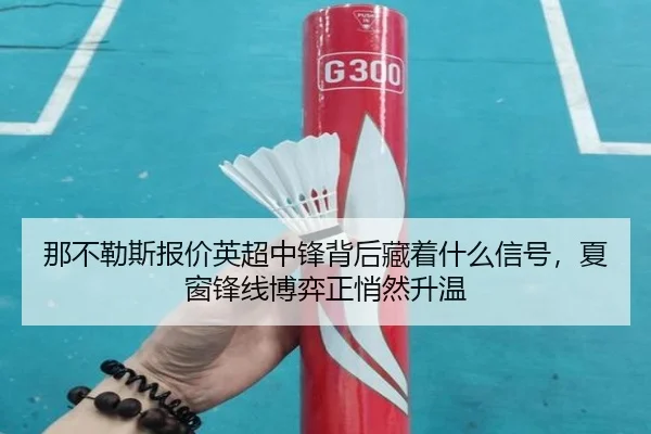 那不勒斯报价英超中锋背后藏着什么信号，夏窗锋线博弈正悄然升温